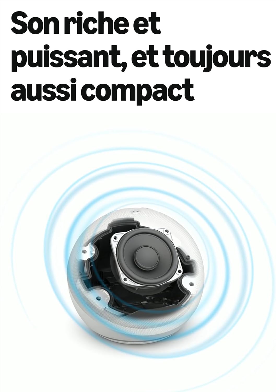 Echo Dot