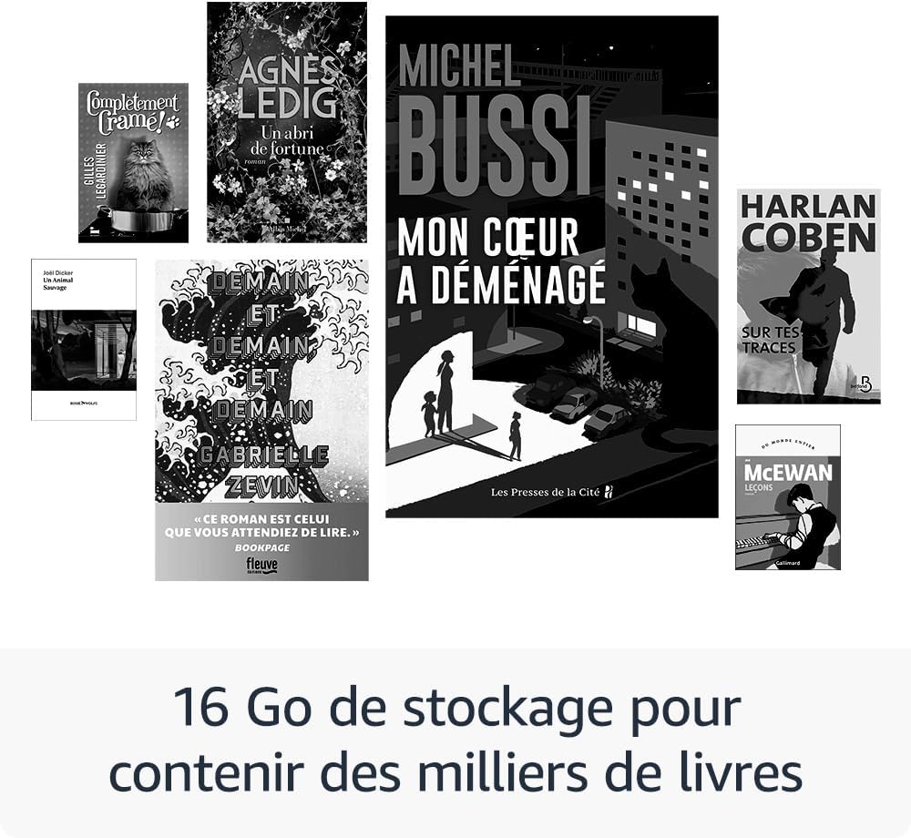 Kindle Nouvelle Génération – Liseuse 16 Go