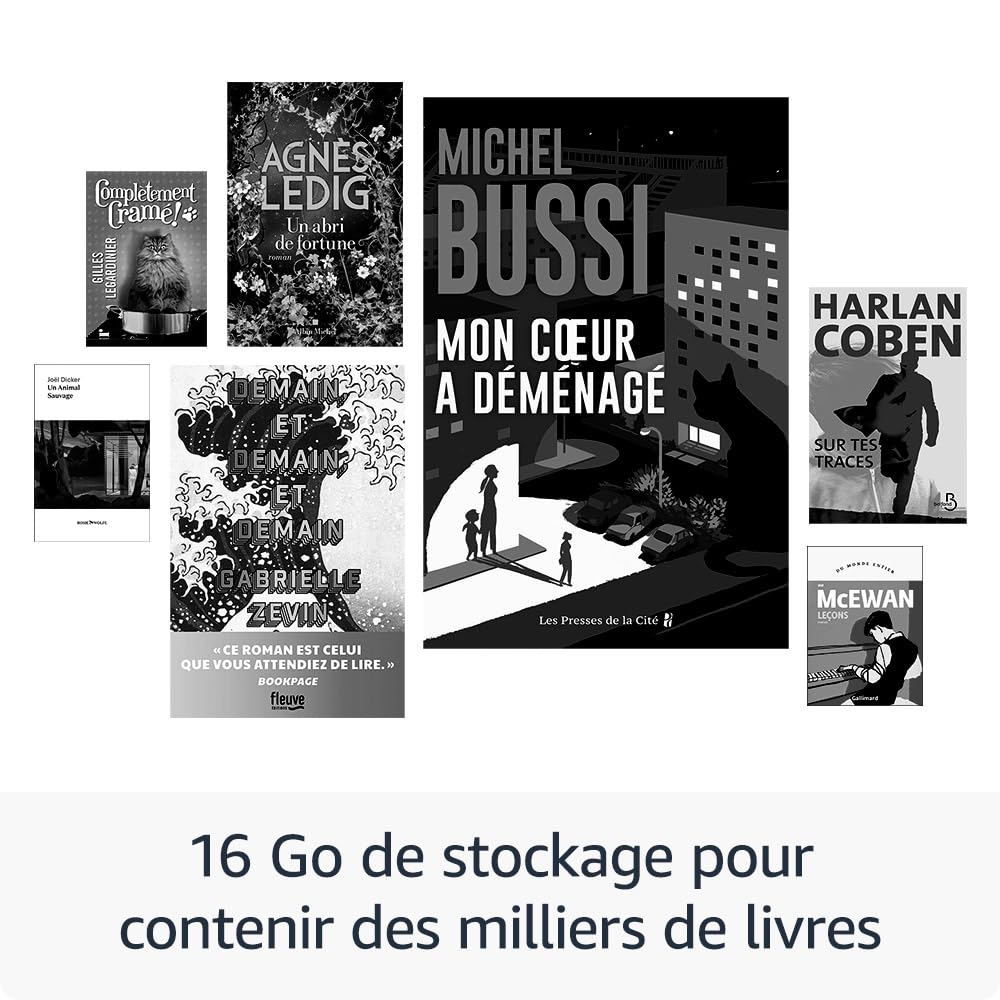 Kindle Nouvelle Génération – Liseuse 16 Go